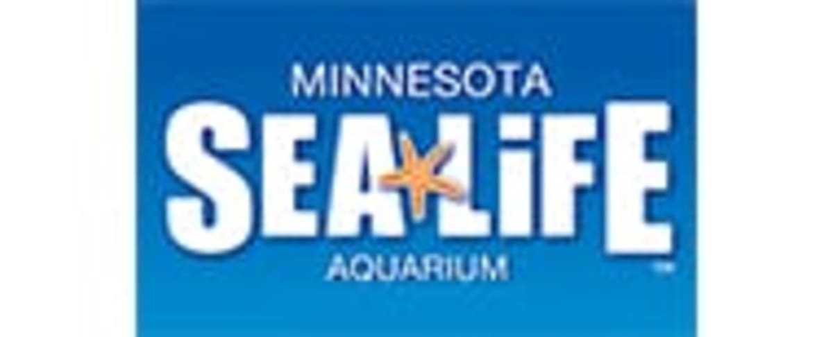 Family Fun – Kid Activities - Things to Do in Minnesota - MINNeSTAY