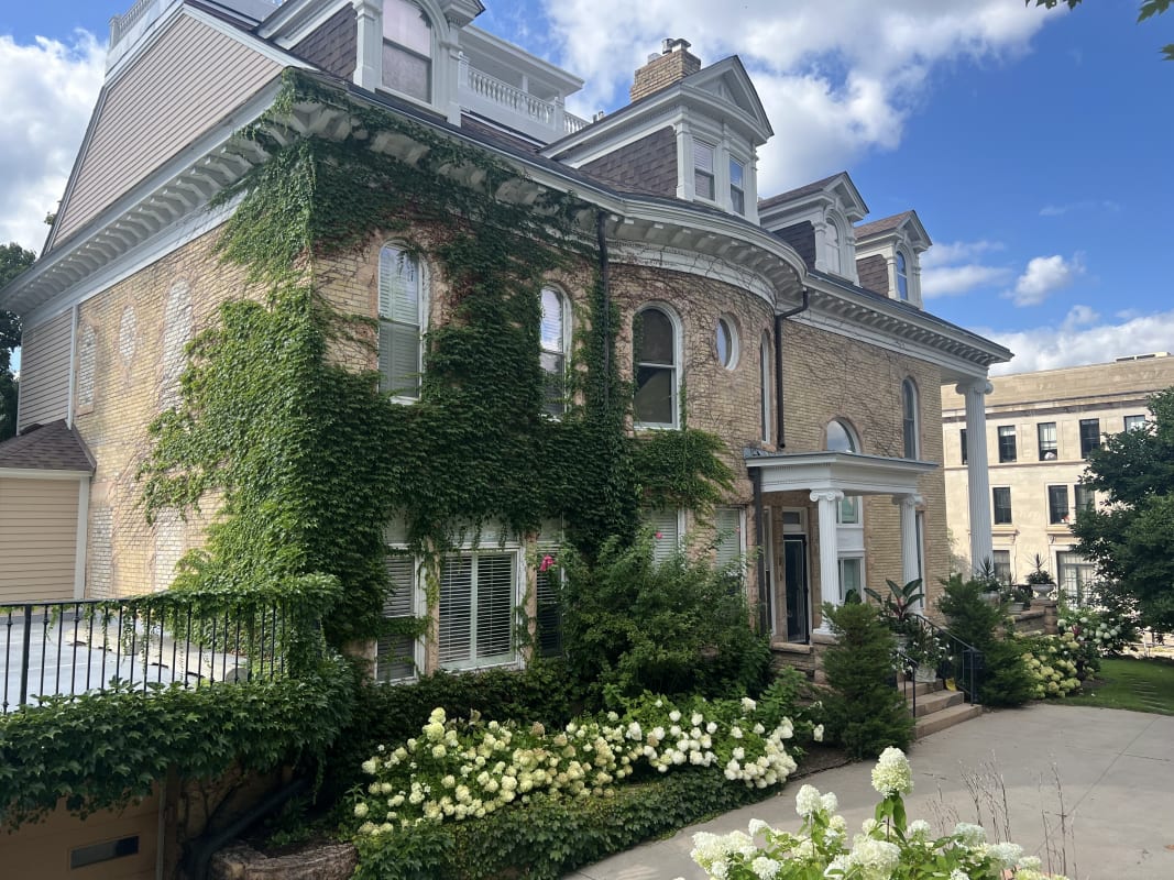 Historic brick property with ivy-covered walls and white blooming hydrangeas creating charming curb appeal in a picturesque neighborhood setting.