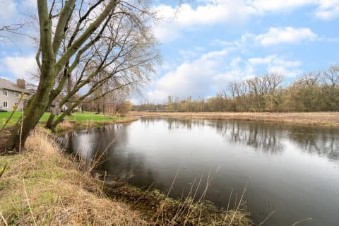 Tranquil scene by the water featuring trees, a birdhouse, and soft clouds above.