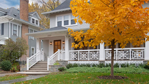 Traditional home entrance with a golden maple tree and autumn leaves in a residential setting.