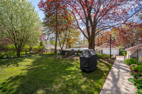 A backyard with blooming trees, adirondack chairs, and a pathway, depicting a serene spring atmosphere.