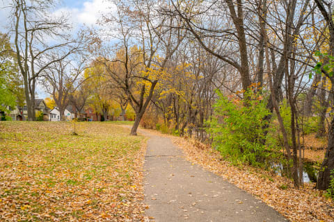 A scenic pathway surrounded by autumn trees and homes on a peaceful day.