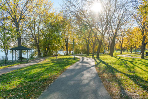 Autumn park scene with a winding path, sunlight filtering through trees, and a gazebo.