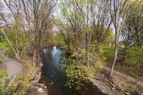 A stream bordered by trees with fresh green leaves and a walking path beside it.