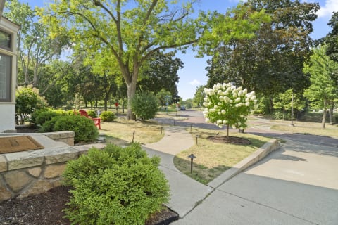 A tree-lined street with manicured gardens and a view of a winding road beyond.