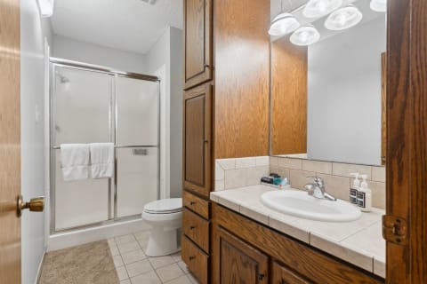 Interior view of a bright bathroom with a glass shower, white toilet, and wooden vanity.