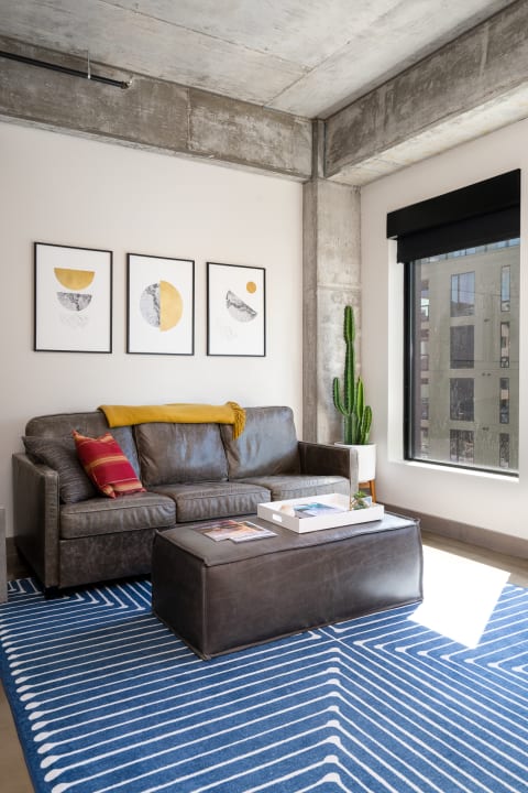 Stylish living room with a gray leather sofa, abstract wall art, and a cactus by the window.