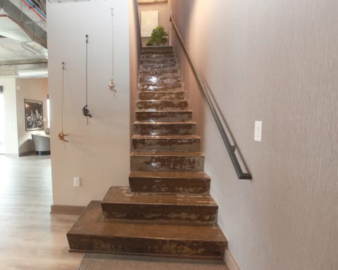 Modern staircase with polished concrete steps and decorative monkeys on the wall.