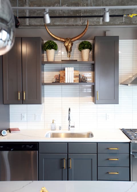 A modern kitchen layout with dark cabinets, a longhorn skull, and decorative plants.