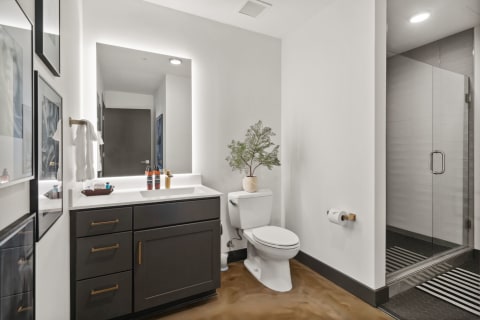 Contemporary bathroom with white walls, dark cabinetry, and a glass shower.