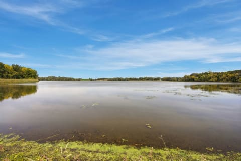 A peaceful lake with calm water reflecting the sky, bordered by trees and greenery.