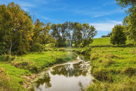 A peaceful stream with lush green grass and trees reflecting autumn colors under a blue sky.