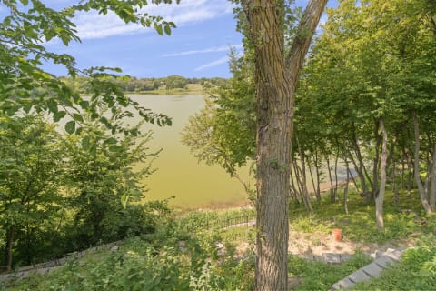 Lakeside view framed by trees and vegetation, with a serene green lake and blue sky.