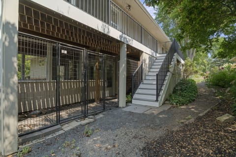 Modern property entrance with fenced area and white stairs amidst greenery.