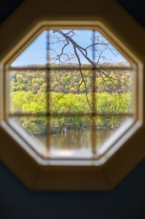 View of lush wetlands and a river framed by an octagonal window.