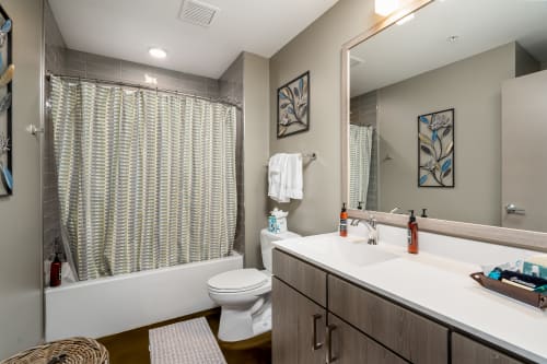 Unwind in your modern bathroom featuring a relaxing tub-shower combo, sleek vanity, and thoughtful amenities for your comfort.