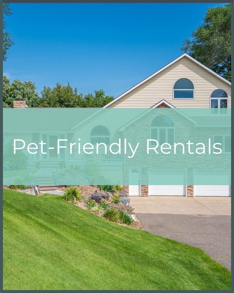 Pet-Friendly Vacation Rentals in the Minneapolis Area